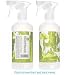 Daub & Bauble Sorrento Lemon and Ginger All Purpose Surface Cleaner - 16 fl. oz. - Design 003