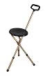 Adjustable Folding Cane with Seat FREE SHIP
