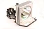 Optoma  BL-FP200C Replacement Lamp for HD70 Home Theater Projector