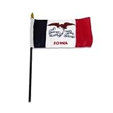 Iowa Flag 4 x 6 inch