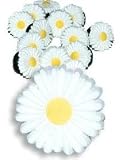 Daisy Crocs Shoe Charms