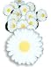 Daisy Crocs Shoe Charms