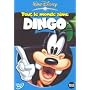 Tout le monde aime Dingo