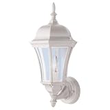 Clear Glass 1 Light Wall Lantern - White