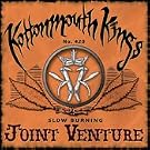 Joint Venture