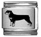 Clearly Charming Rottweiler Laser Italian Charm