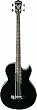 Washburn AB10 Thinbody Acoustic Bass