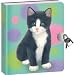 KITTY GIRLS DIARY Journal LOCK key GIRL kitten toy NEW