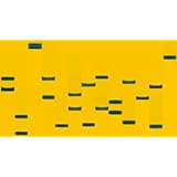 DNA Art 28" X 50" Canvas | Customized Jasper Painting Style Home Décor