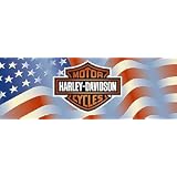 AMERICAN BAR & SHIELD CENTERED 66X20 HARLEY-DAVIDSON REAR WINDOW DECAL by Vantage Point