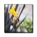 A Yellow Flower that Came From a Bulb Close Up - 6 Inch Glass Tile