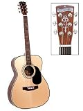 BLUERIDGE 000 GUITAR