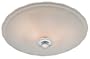 Hunter 81020 Bella Bath Fan, Frosted Glass with Chrome Finial
