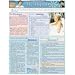 Menopause Laminated Reference Guide (Quickstudy: Health)