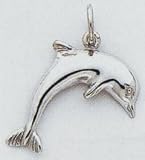 Dolphin Charm