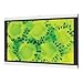NEC PlasmaSync 42XC10 - 42" Residential Series