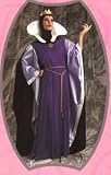 Snow White Disney Evil Queen Adult