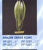 PP801 AMAZON SWORD PLANT 8IN 6