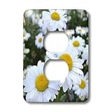 Patricia Sanders Flowers - daisies - Light Switch Covers - 2 plug outlet cover