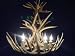 Deer Antler Chandelier - 4 or 5 Lite TALL Mule Deer or Whitetail Chandelier