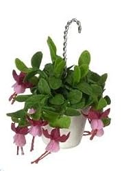 Dollhouse Miniature Artisan Hanging pot with Fucshia