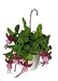 Dollhouse Miniature Artisan Hanging pot with Fucshia