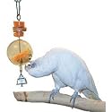 Refillable Bird Foraging Toy for Parrots