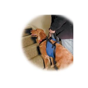 Our Pets Lift-N-Aid Large Mobility Harness