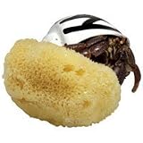 Zoo Med All Natural Hermit Crab Sea Sponge