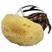 Zoo Med All Natural Hermit Crab Sea Sponge