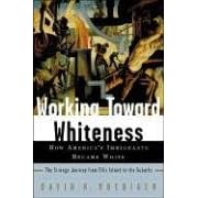 Working Toward Whiteness: How America's Immigrants Become White. The Strange Journey from Ellis Island to the Suburbs