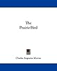 The prairie-bird