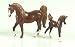 Tennessee Walker - Grand Champion Micro Mini