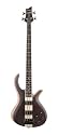Schecter RIOT-4 Bass Wenge 