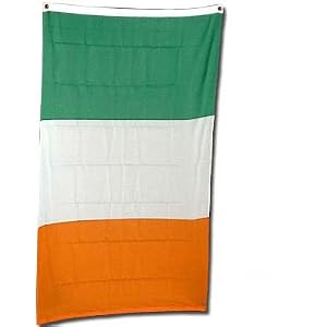 Ireland Flag Polyester 3 ft. x 5 ft.