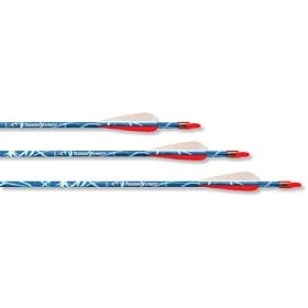 Carbon Express G0326 Carbon Youth Arrows