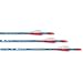 Carbon Express G0326 Carbon Youth Arrows