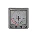 RAYMARINE