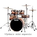 Pacific MXKT2205BX8 MX Series 5pc Drum Set Tobacco Fade Tobacco Fade