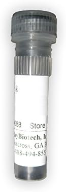 RayBiotech Rabbit anti-Human Stat3 (p705) (Phosph) Gene ID 6774, 500 µg RB-02-0018-500