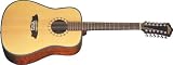 Washburn Southwestern Series D46S12K Acoustic Guitar