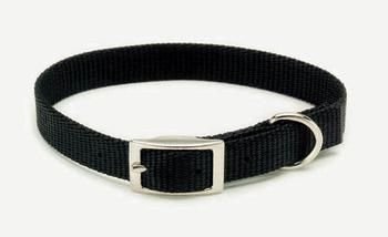 Coastal Pet Products Red Nylon Collar for Puppies and Small Dogs