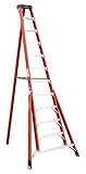 read full review Werner FTP6212 300-Pound Duty Rating Fiberglass Tripod Ladder, 12-Foot