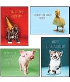 Little Critters- Scripture Greeting Cards - KJV - Boxed - Birthday