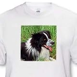 Border Collie - Toddler T-Shirt (4T)