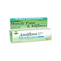 Boericke & Tafel Arniflora Arnica Natural Topical Pain Reliever Gel, Maximum Strength 2.75oz