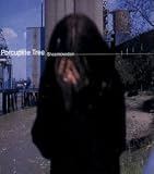 Shesmovedon