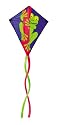 Go Fly A Kite Froggy Kite