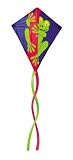 Go Fly A Kite Froggy Kite