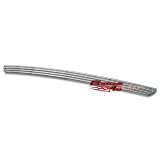 02-08 Dodge Ram Bumper Perimeter Grille Grill Insert by APS